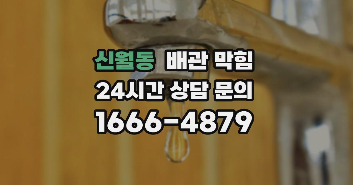 신월동 배관 막힘