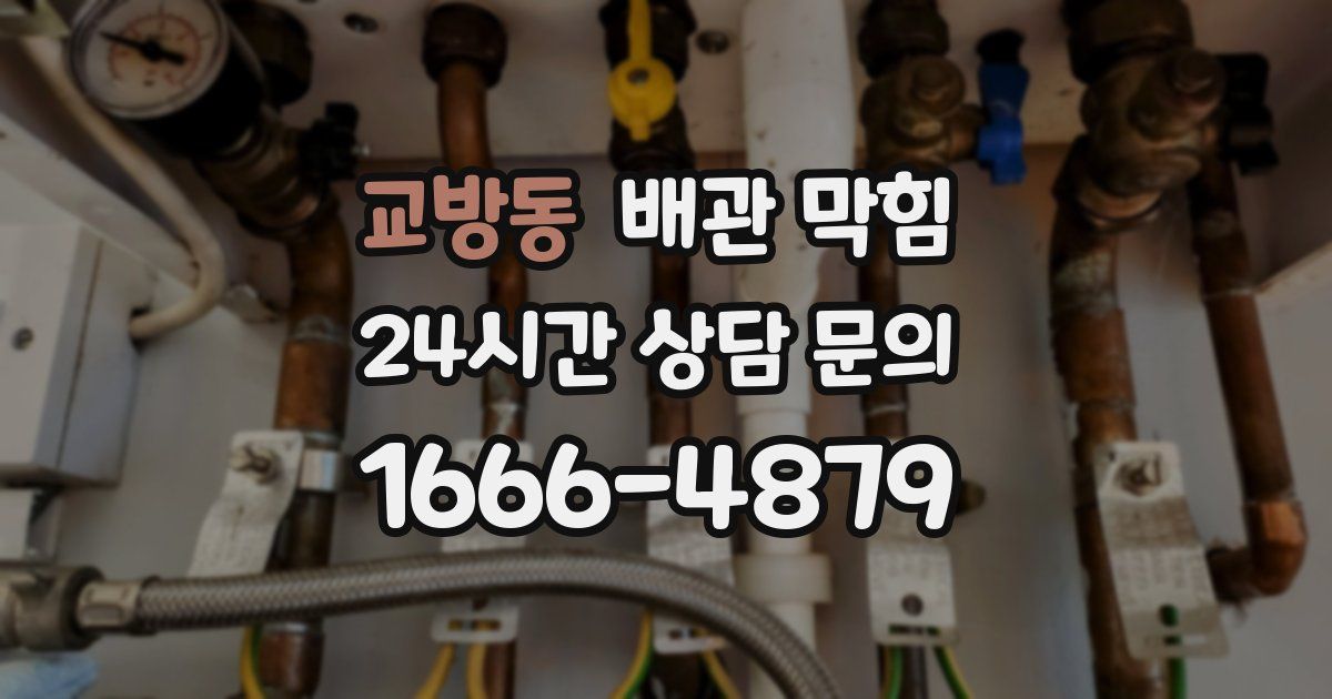 교방동 배관 막힘