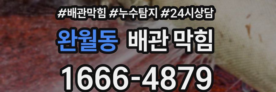 완월동 배관 막힘