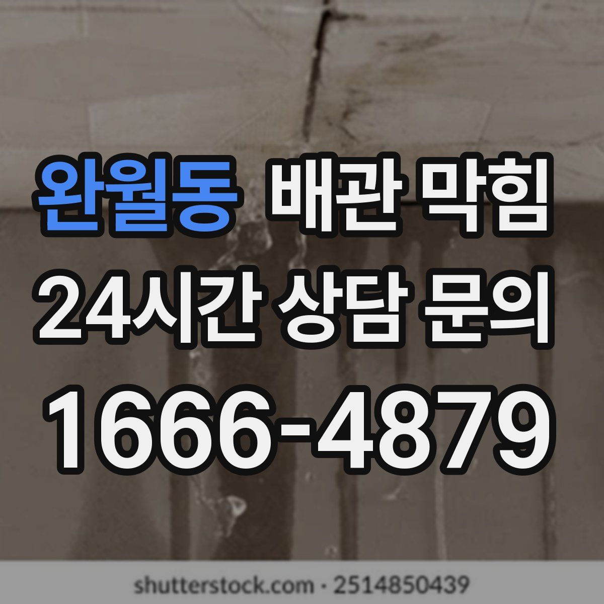 완월동 배관 막힘