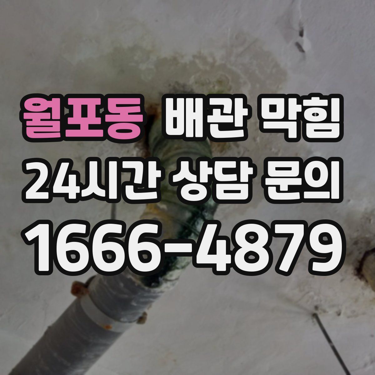 월포동 배관 막힘