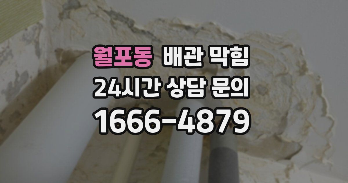 월포동 배관 막힘