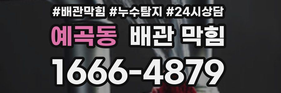 예곡동 배관 막힘