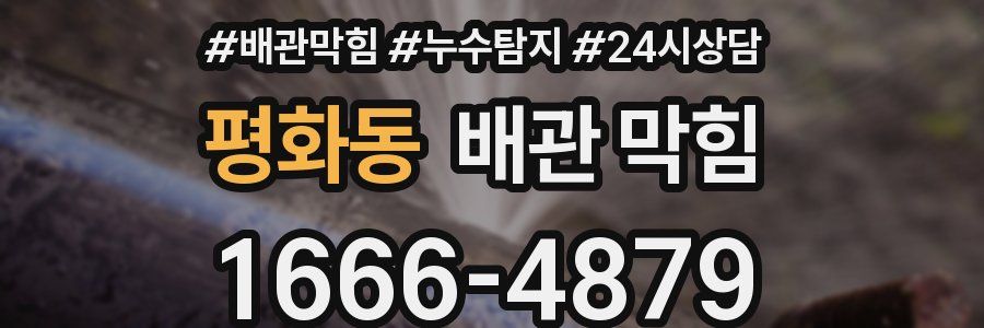 평화동 배관 막힘