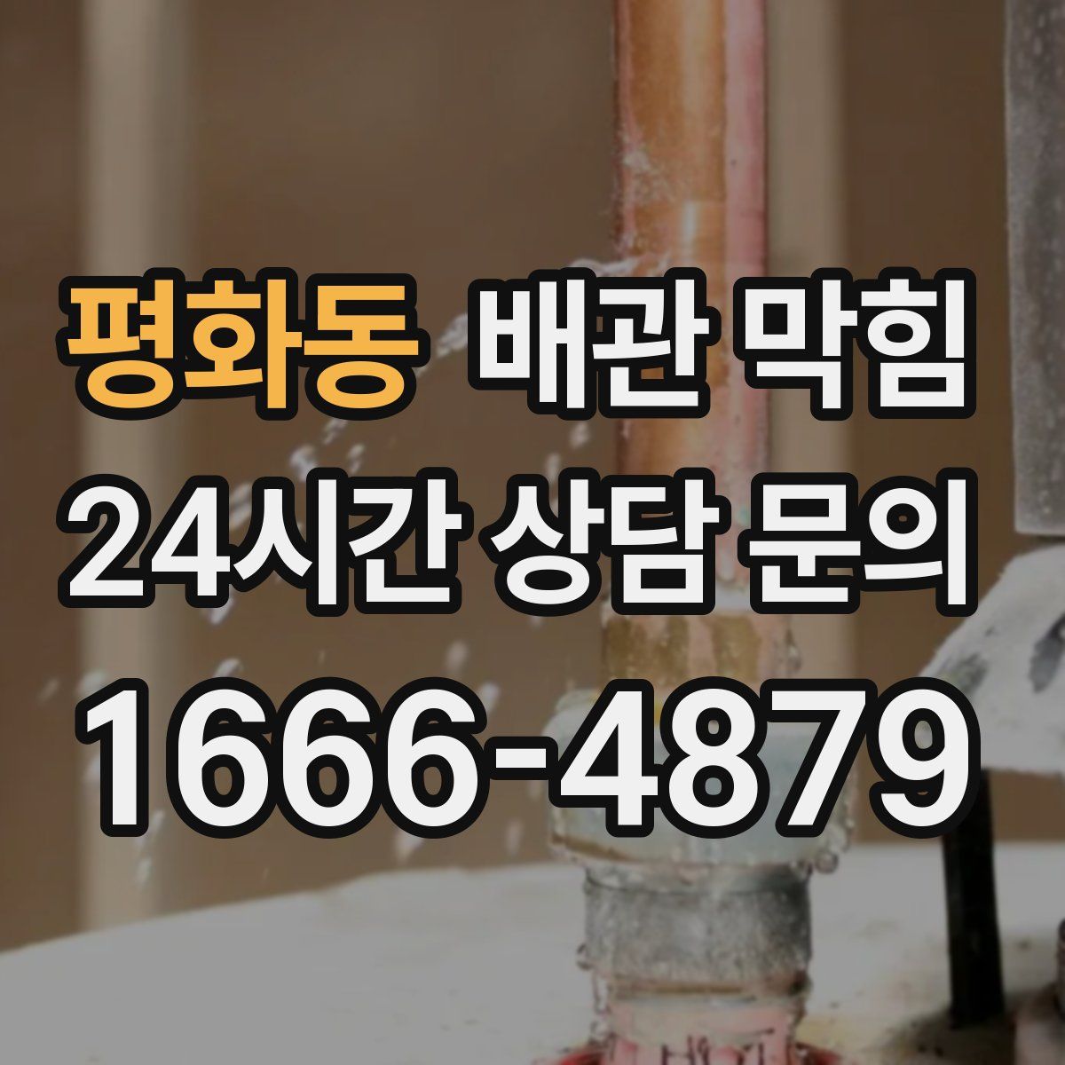 평화동 배관 막힘