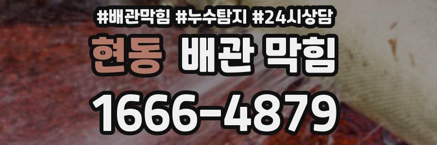 현동 배관 막힘