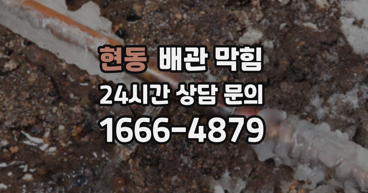 현동 배관 막힘