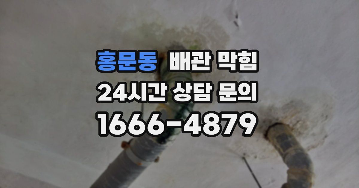홍문동 배관 막힘