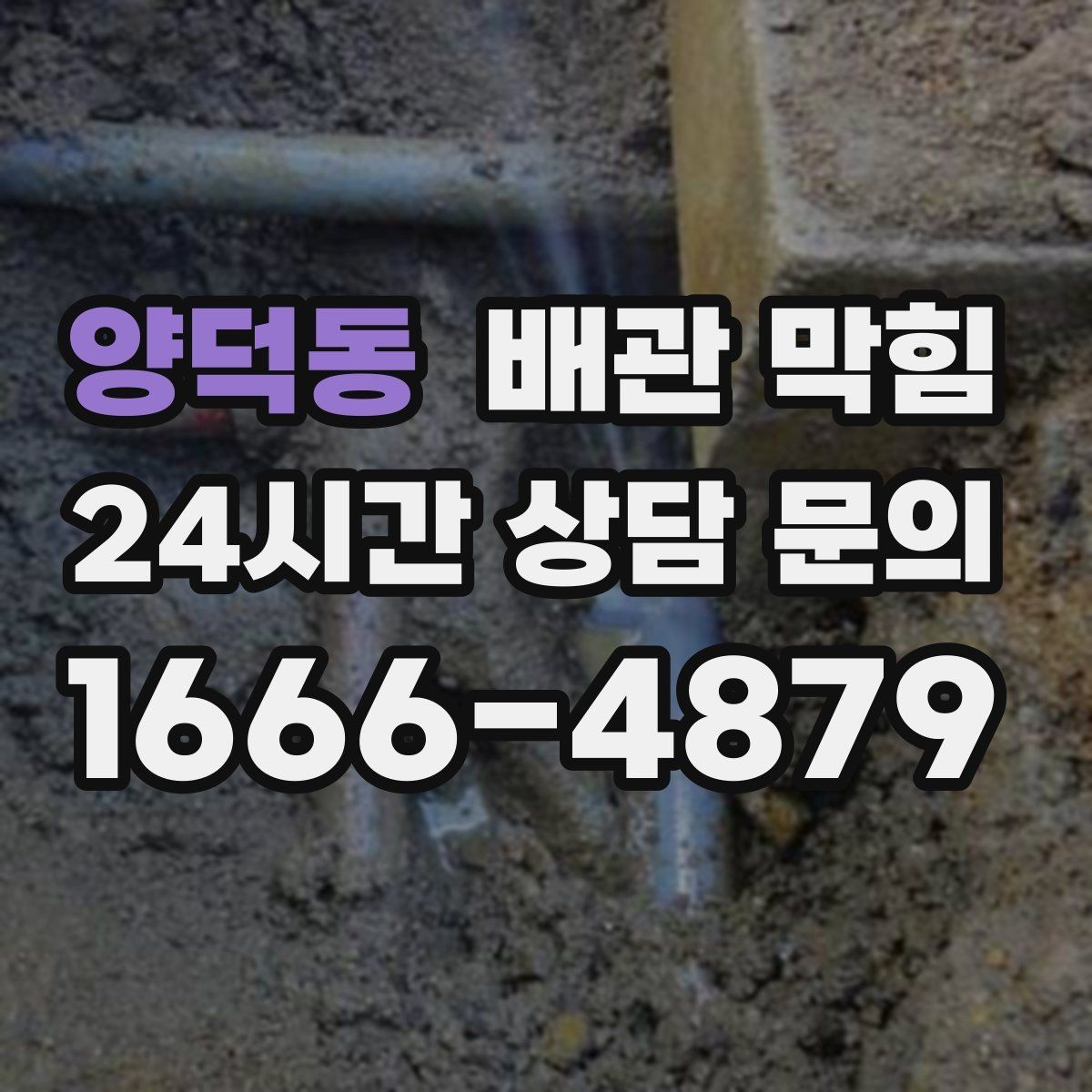 양덕동 배관 막힘 갑자기 물이 역류하면 바로 점검해야 합니다