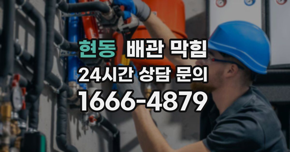 현동 배관 막힘
