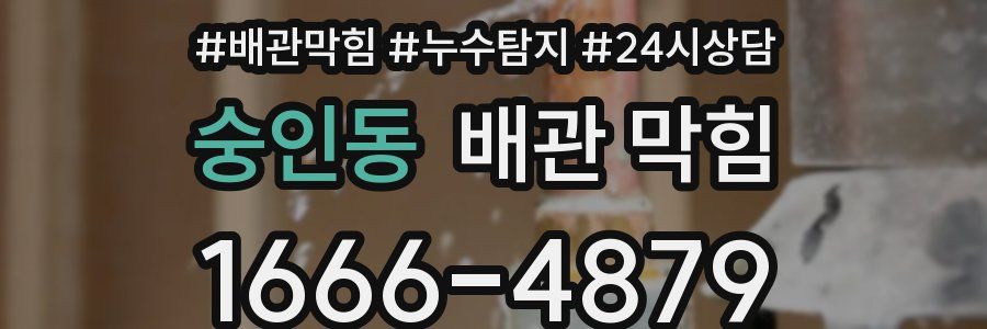 숭인동 배관 막힘