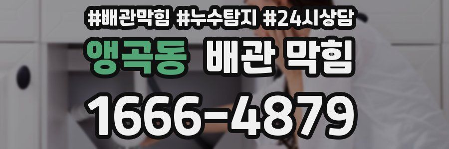 앵곡동 배관 막힘