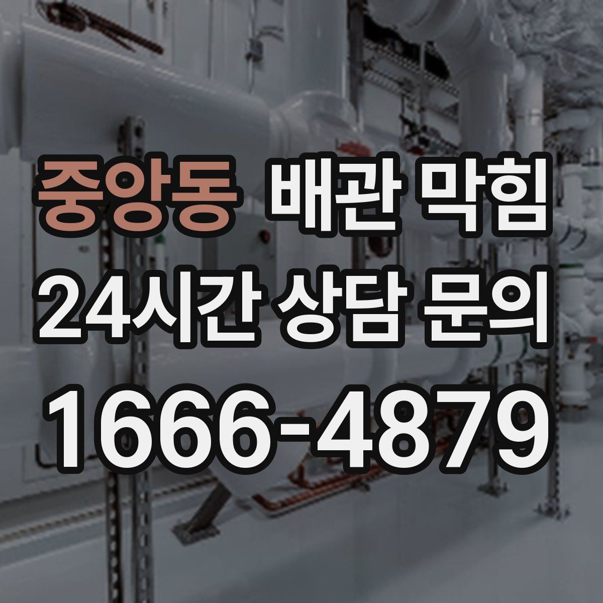 중앙동 배관 막힘