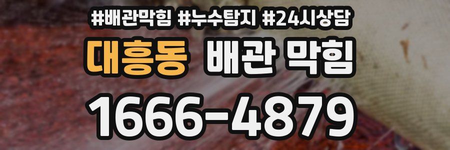 대흥동 배관 막힘