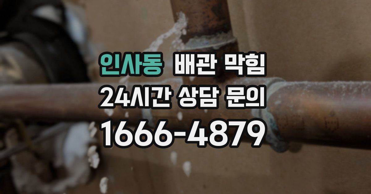 인사동 배관 막힘