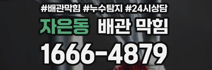 자은동 배관 막힘