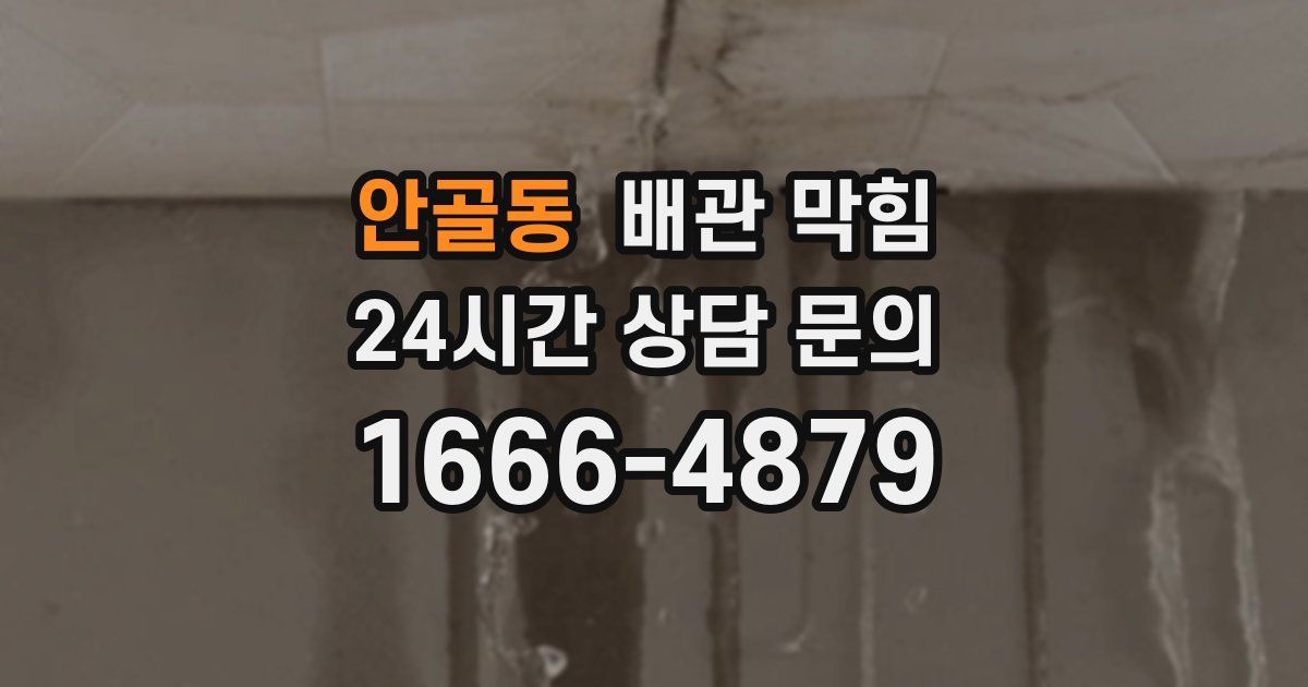 안골동 배관 막힘
