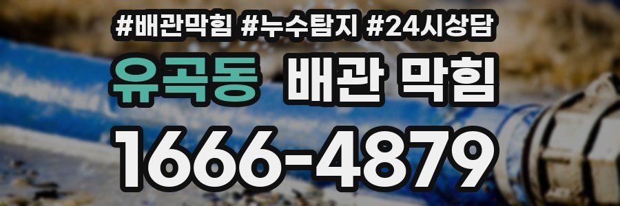 유곡동 배관 막힘