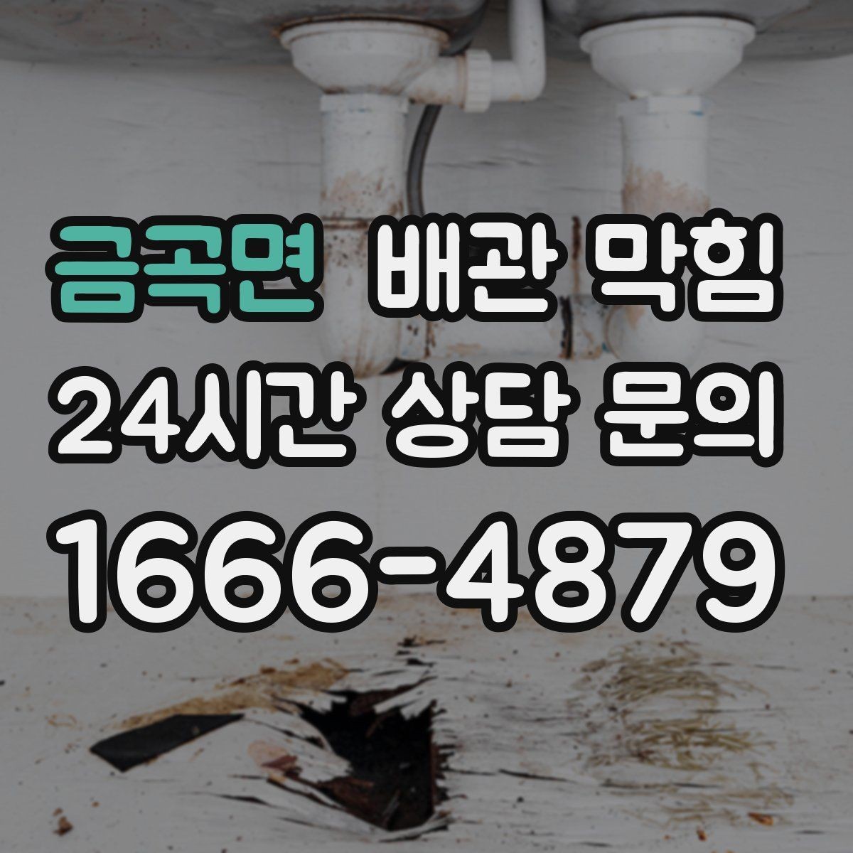 금곡면 배관 막힘 하수구 역류처럼 보이는데 실제 원인은 배관일 수 있어요