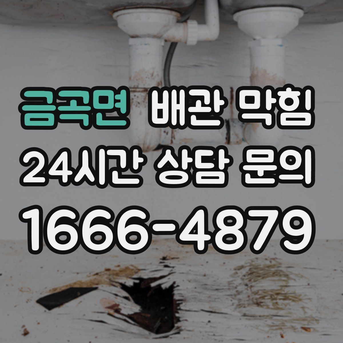 금곡면 배관 막힘