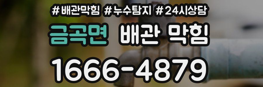 금곡면 배관 막힘