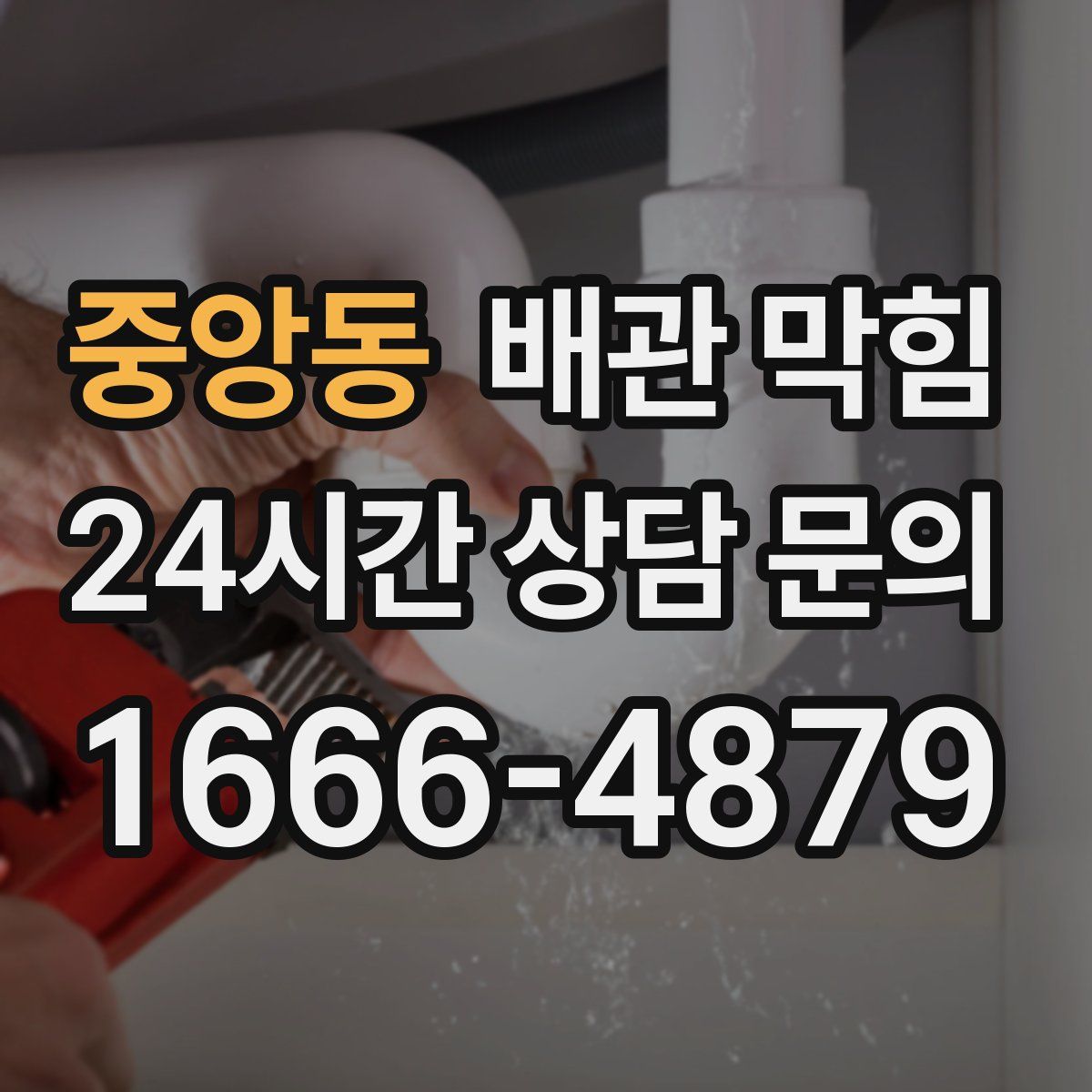 중앙동 배관 막힘