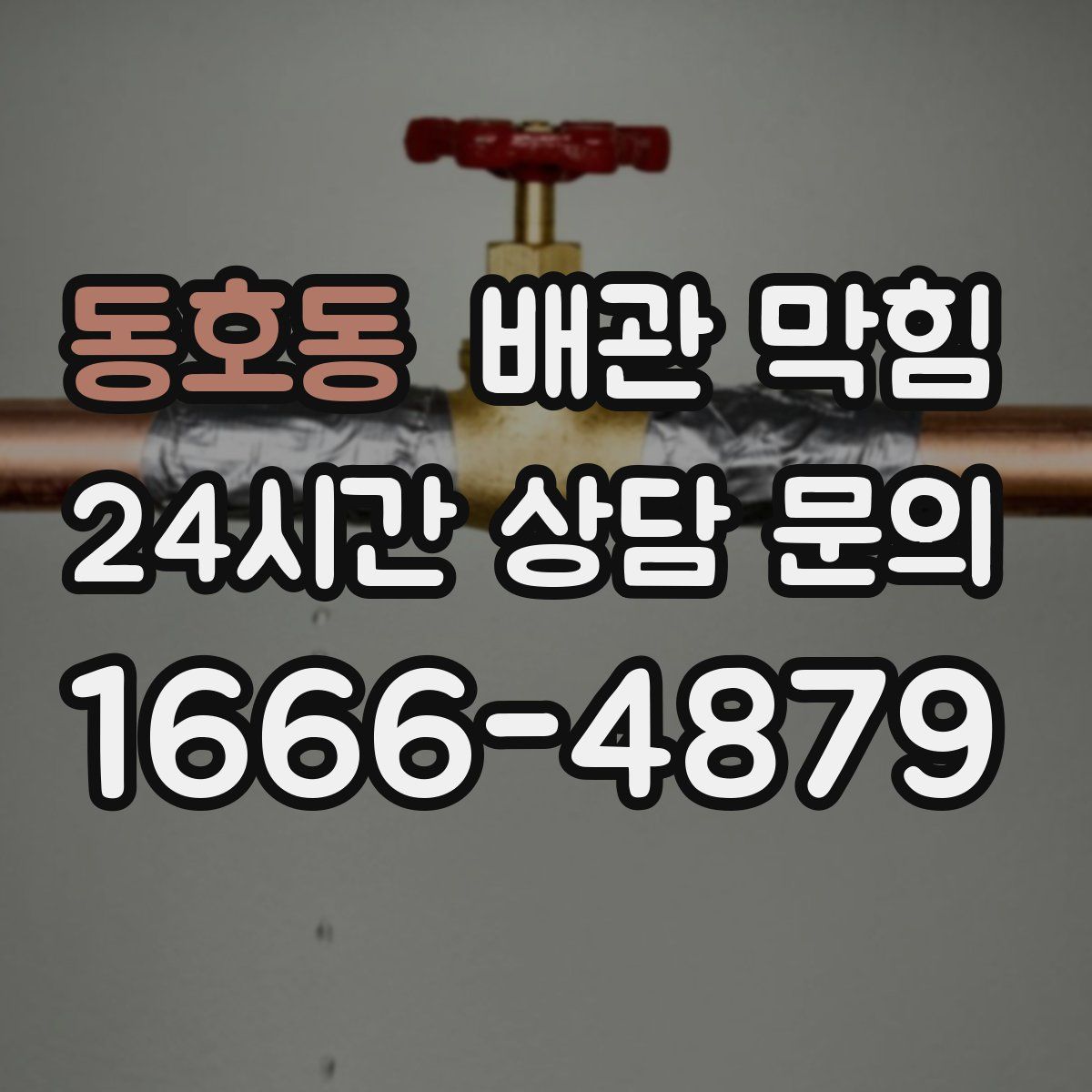 동호동 배관 막힘