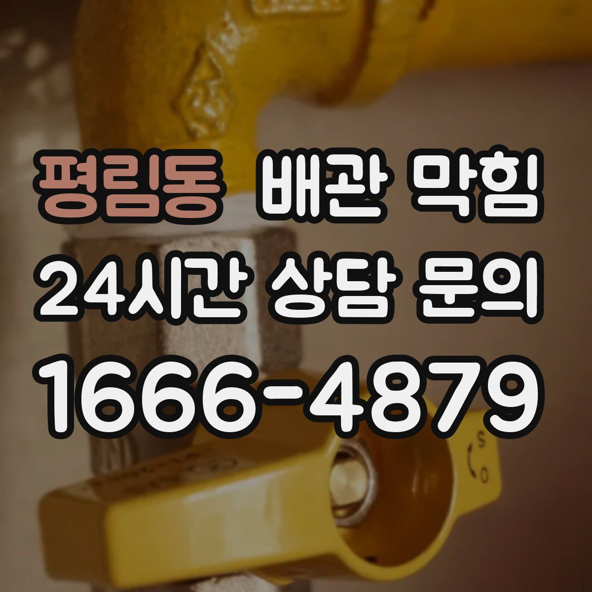 평림동 배관 막힘