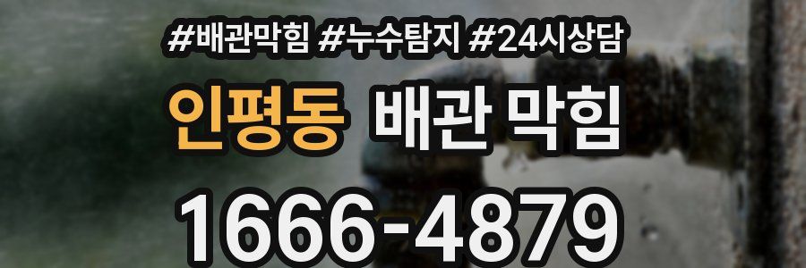 인평동 배관 막힘