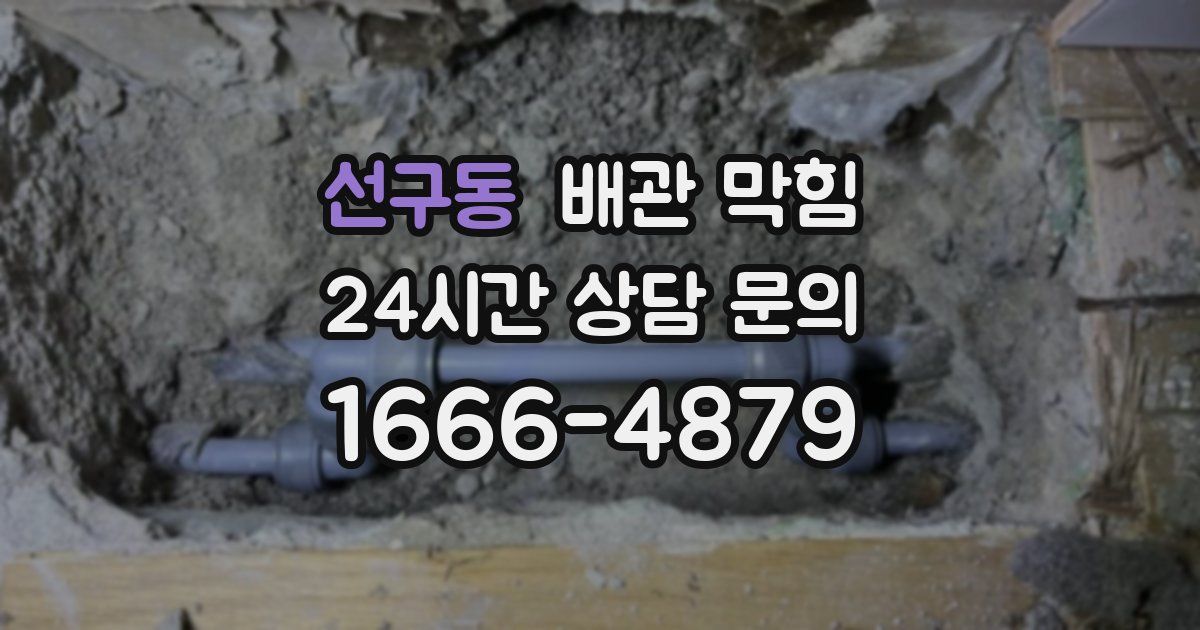 선구동 배관 막힘