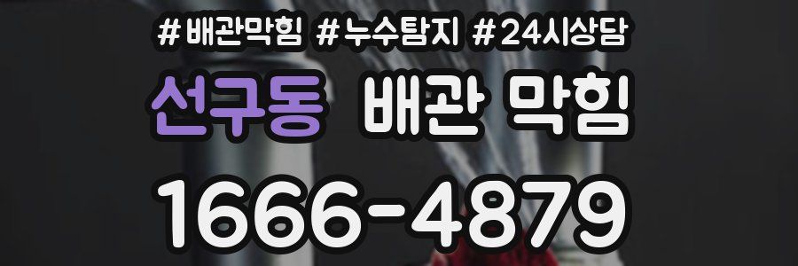 선구동 배관 막힘