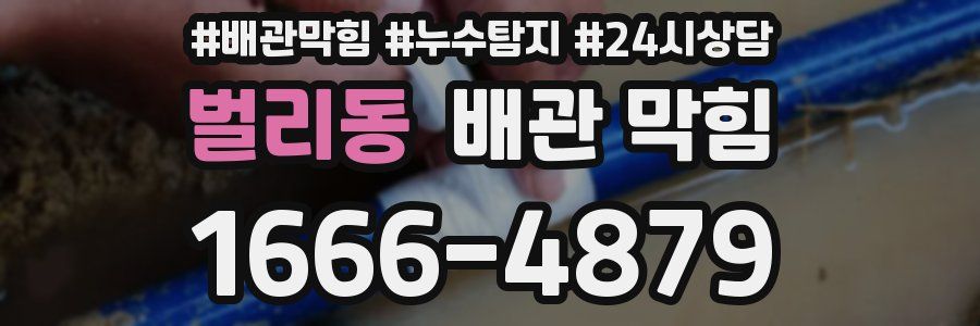 벌리동 배관 막힘