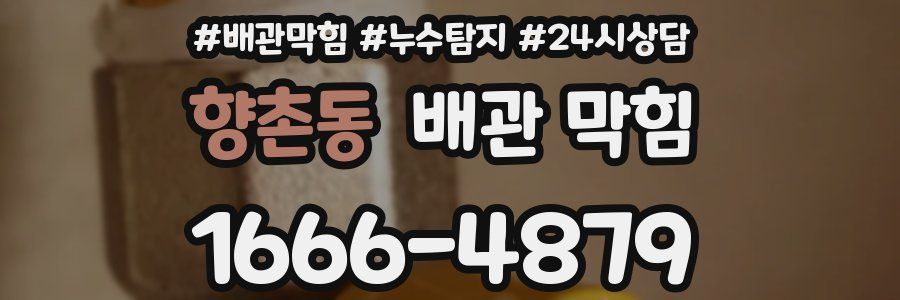 향촌동 배관 막힘