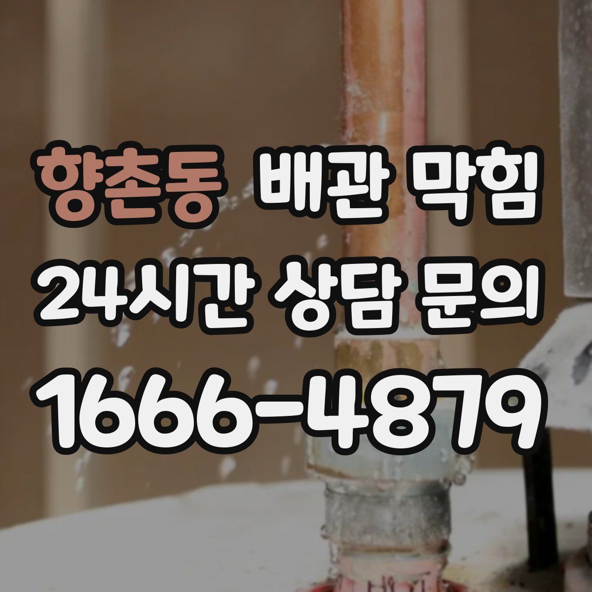 향촌동 배관 막힘