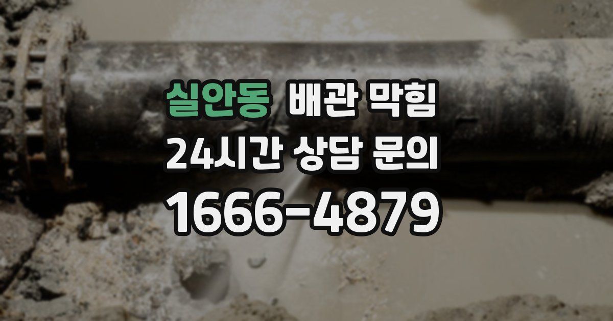 실안동 배관 막힘
