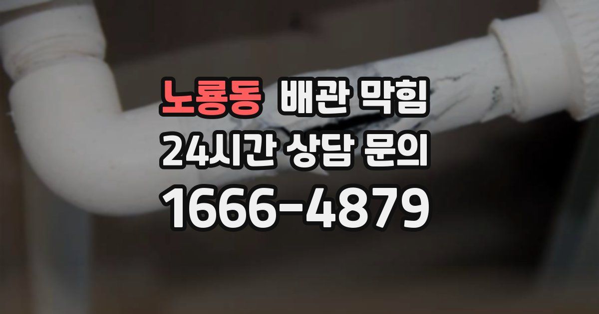 노룡동 배관 막힘