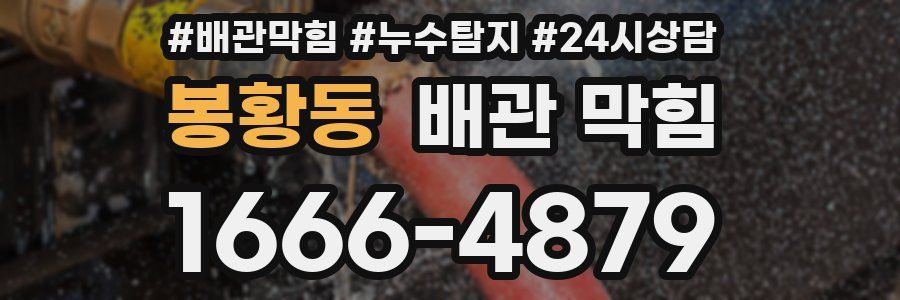 봉황동 배관 막힘