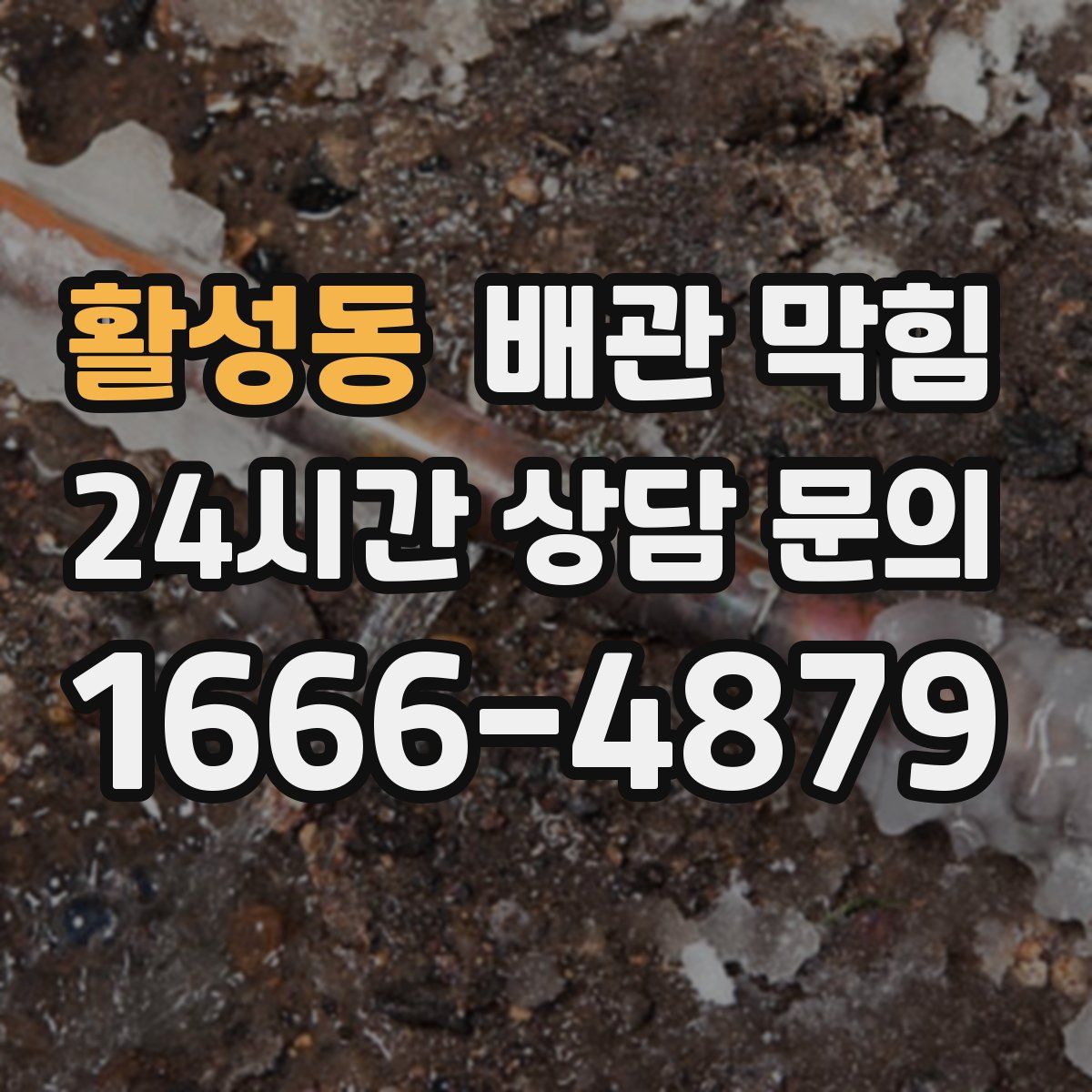 활성동 배관 막힘