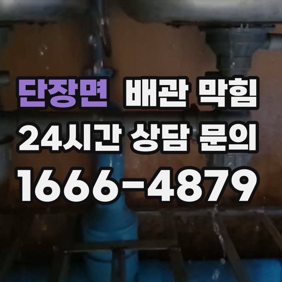단장면 배관 막힘