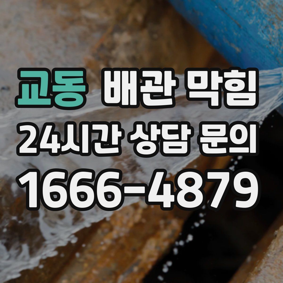 교동 배관 막힘 머리카락이 배관을 막는 과정