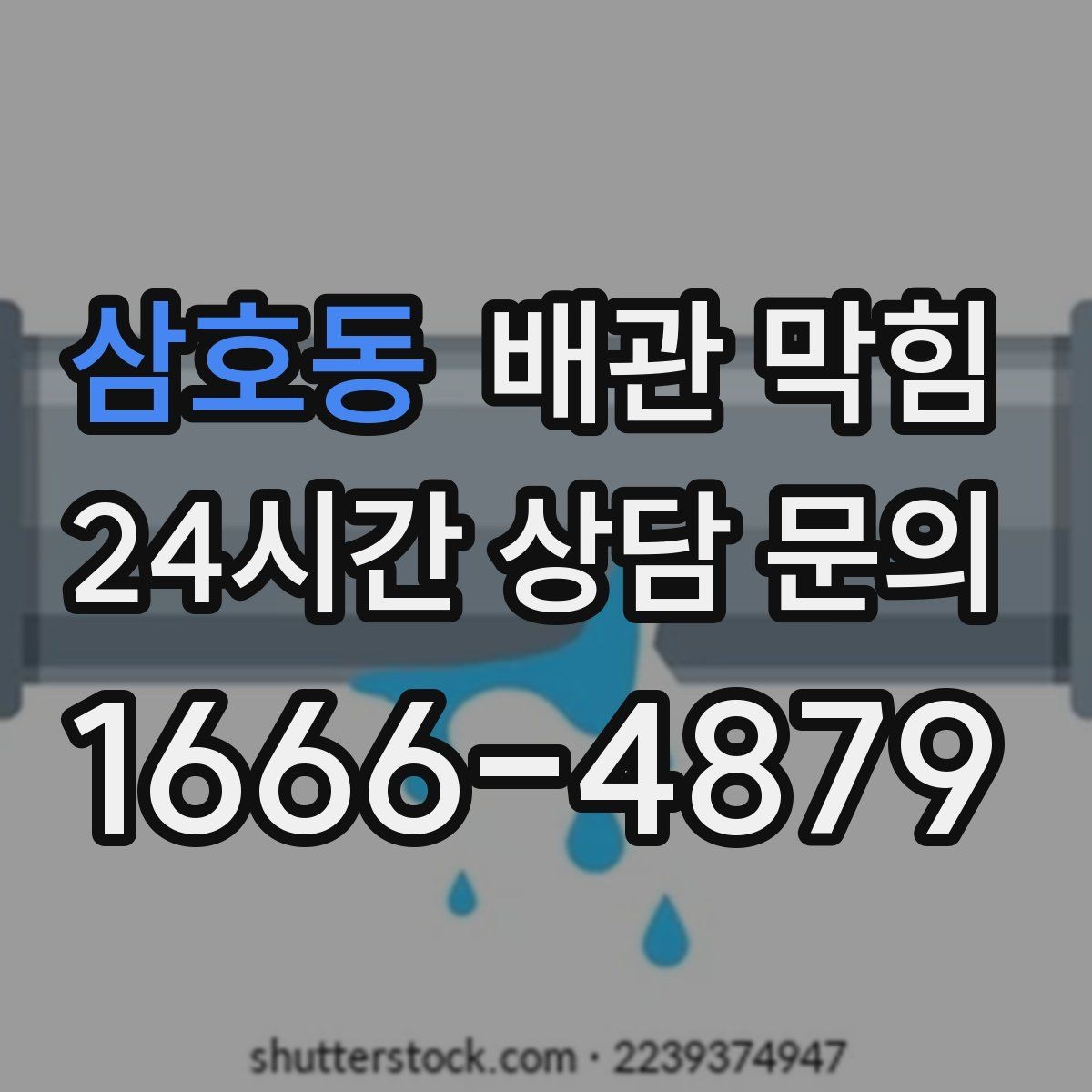 삼호동 배관 막힘 비가 오면 배수구가 올라오는 이유