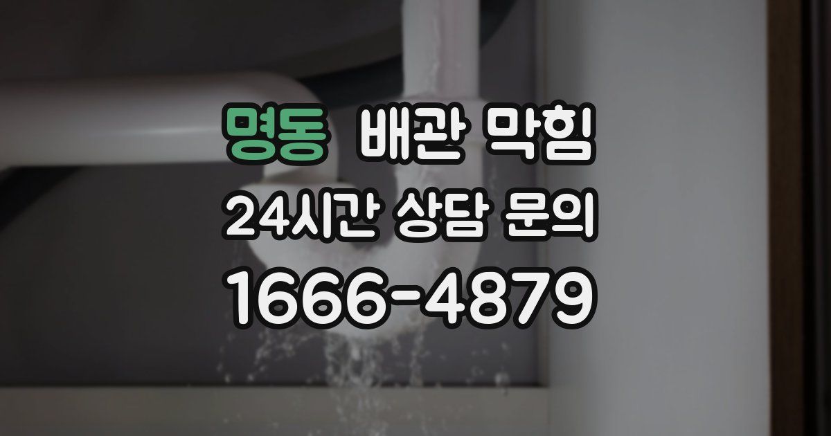 명동 배관 막힘
