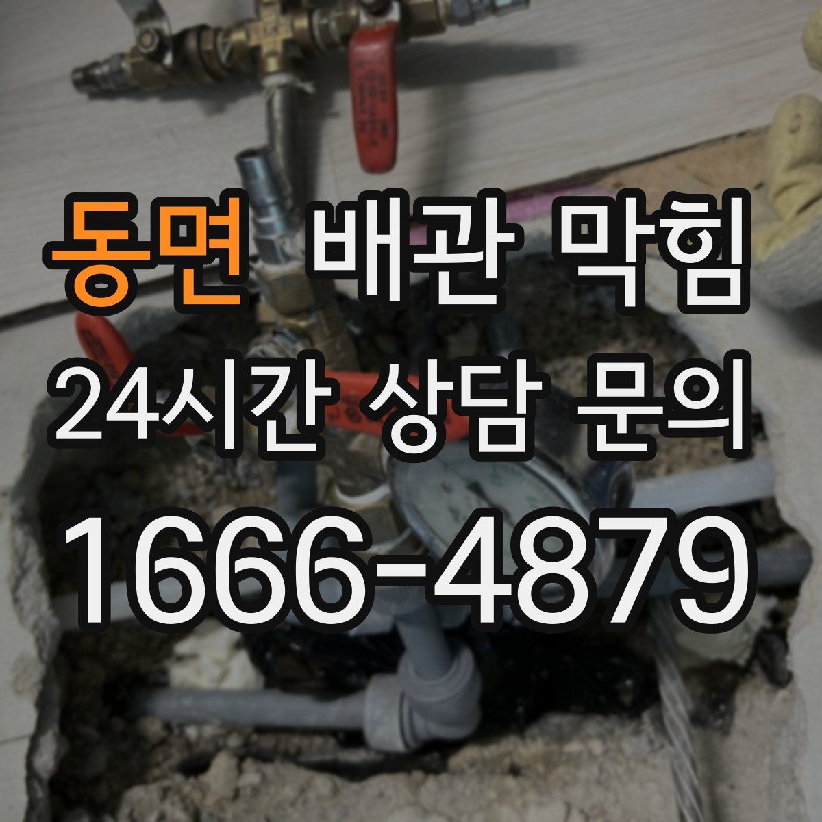 동면 배관 막힘
