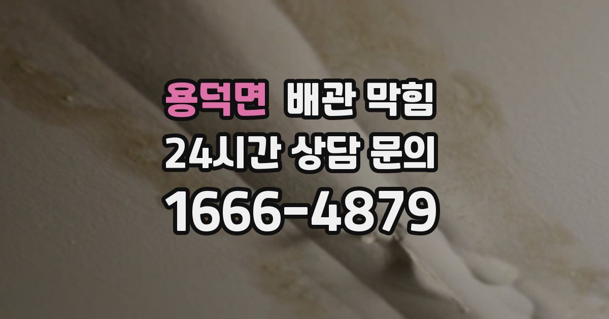 용덕면 배관 막힘