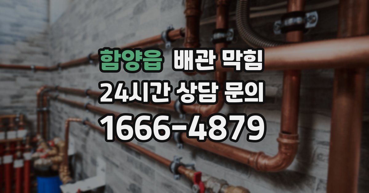 함양읍 배관 막힘