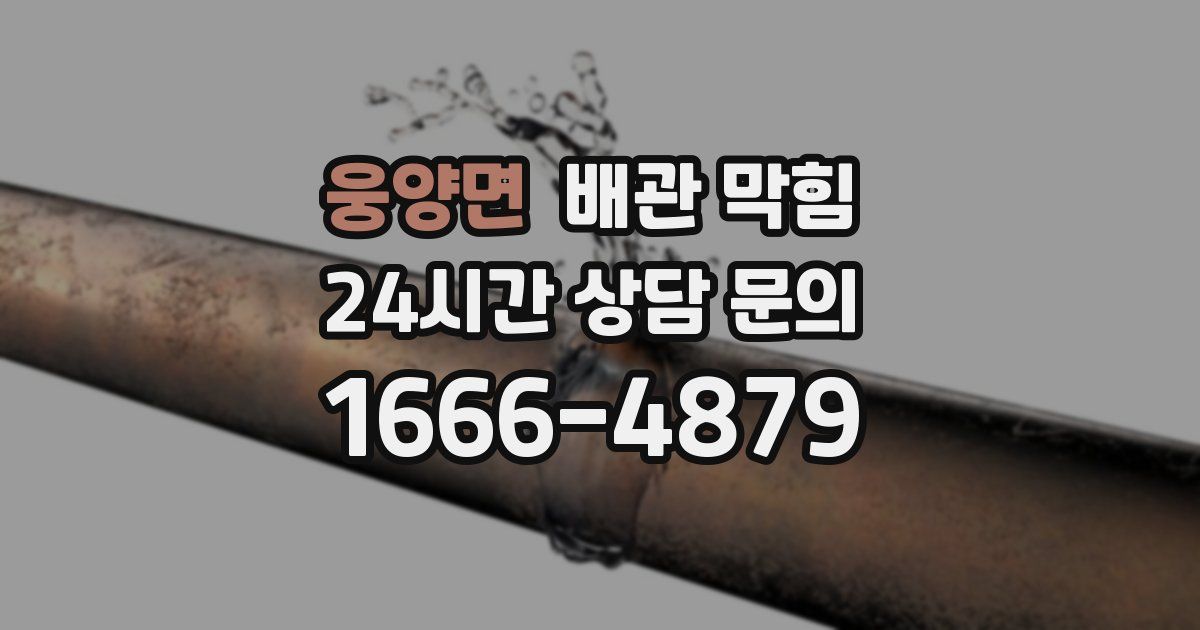 웅양면 배관 막힘