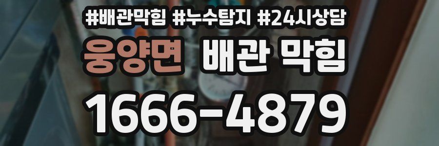 웅양면 배관 막힘