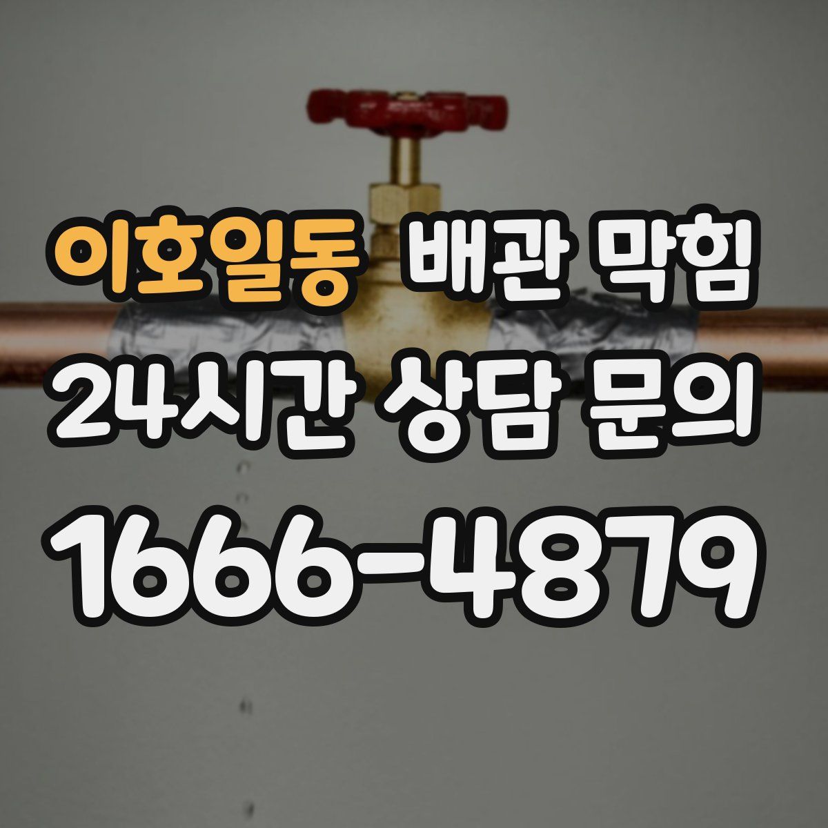 이호일동 배관 막힘