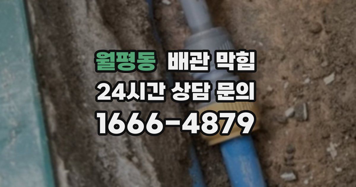 월평동 배관 막힘