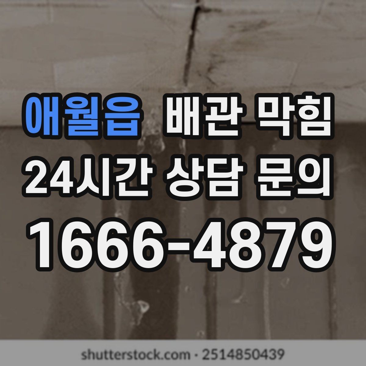 애월읍 배관 막힘 욕실에서 가장 흔한 막힘 원인을 정리